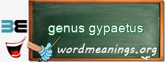 WordMeaning blackboard for genus gypaetus